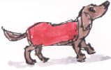 dachshund