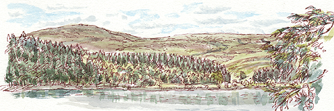 Langsett