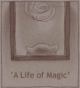 A Life of Magic
