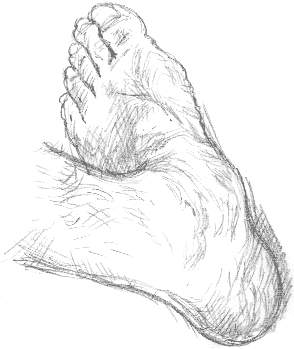 foot