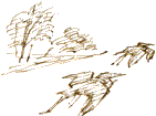 heron sketches