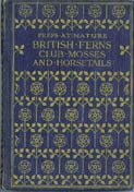 British Ferns,  1924
