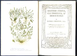 British Ferns, title page