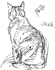 Jack