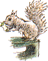 grey squirrel with apple