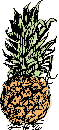 Pineapple