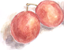 plums