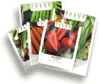 seed packets