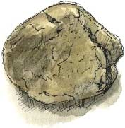 sandstone pebble