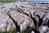 limestone pavement