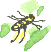 hunting wasp