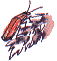 soldier beetle