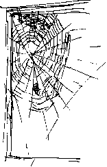 Garden spider orb web
