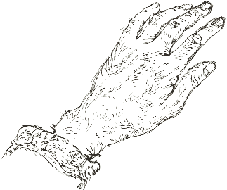 hand