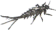 mayfly larvae