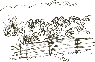 fence