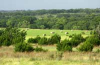 View from the Lair, Texas, photograph by Rheba Kramer Mitchell