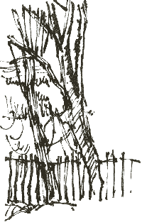 park fence