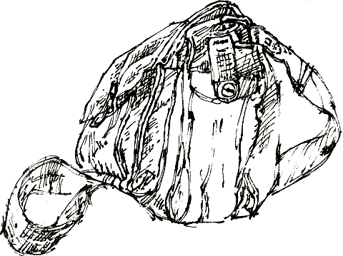 Mantaray bag