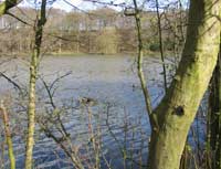 Newmillerdam